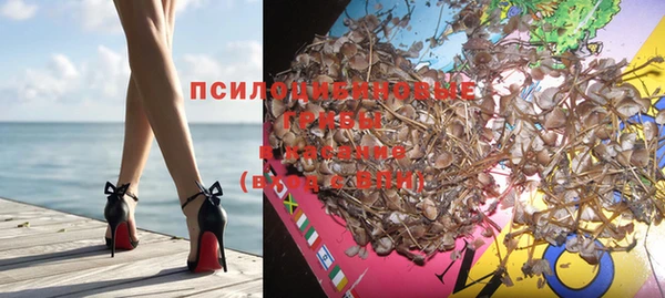 каннабис Алексеевка