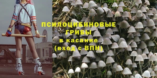 прущий лед Алексин